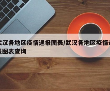 武汉各地区疫情通报图表/武汉各地区疫情通报图表查询