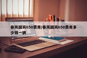 春风国宾650费用/春风国宾650费用多少钱一辆